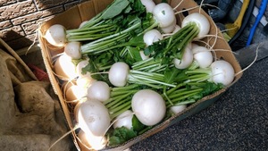 大量　かぶ　大龍寺　座禅会　