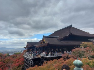 京都観光してきました。